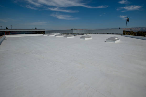 Best Roof Insulation Installation  in Powells Crossroads, TN