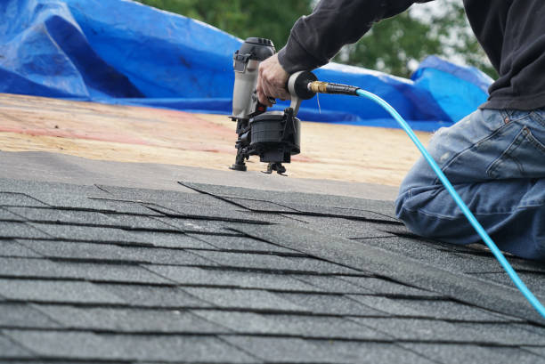 Best Roof Moss and Algae Removal  in Powells Crossroads, TN