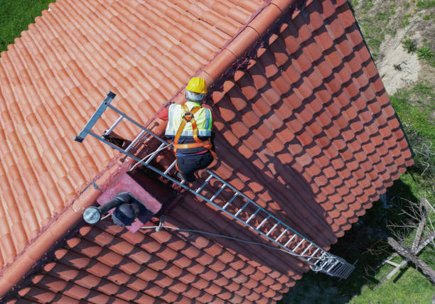 Best Storm Damage Roof Repair  in Powells Crossroads, TN